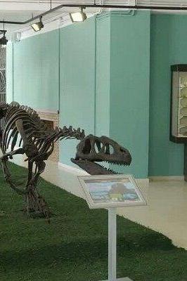 Museo Paleontológico de Estepona